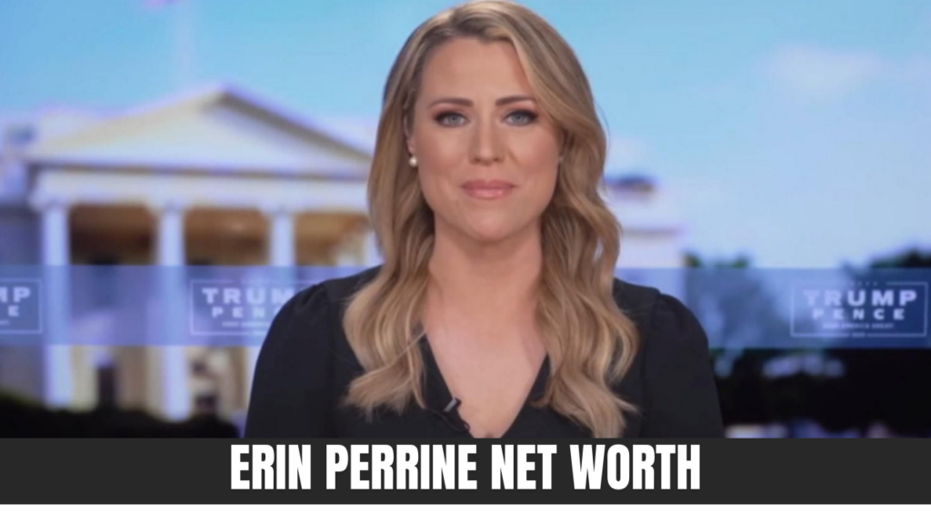 Erin Perrine Net Worth